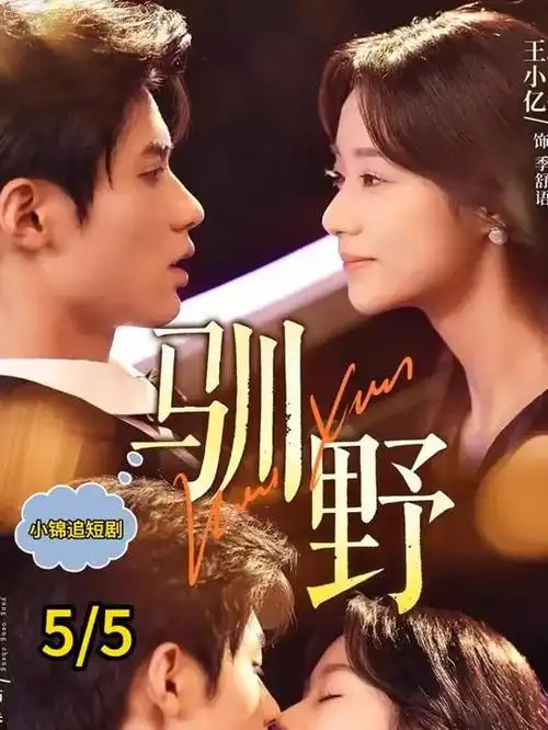 海边的诊疗所 治愈医疗剧全集